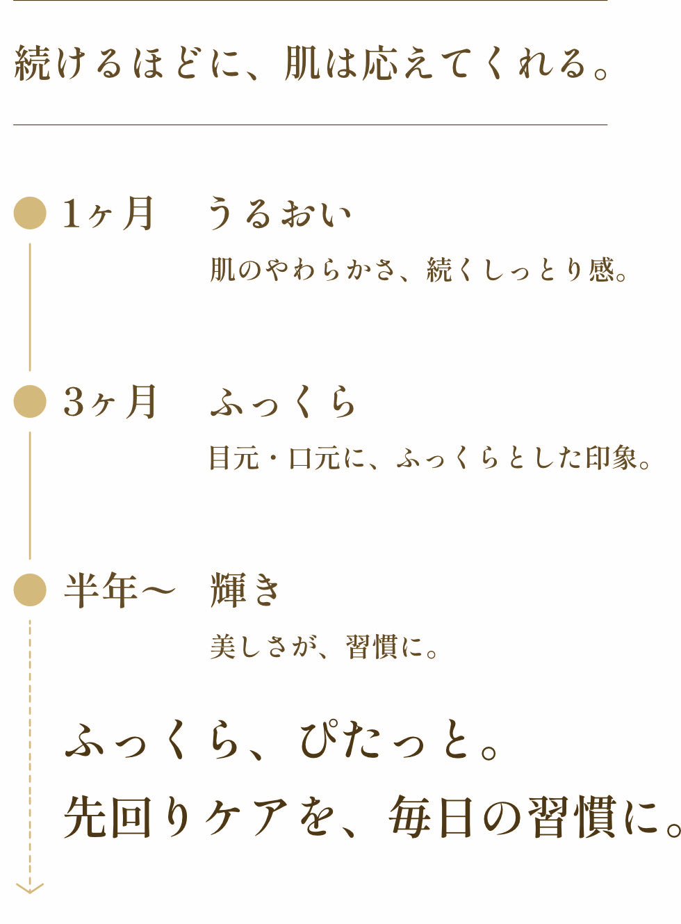続けるほどに、肌は応えてくれる：1ヶ月うるおい・3ヶ月ふっくら・半年〜輝き